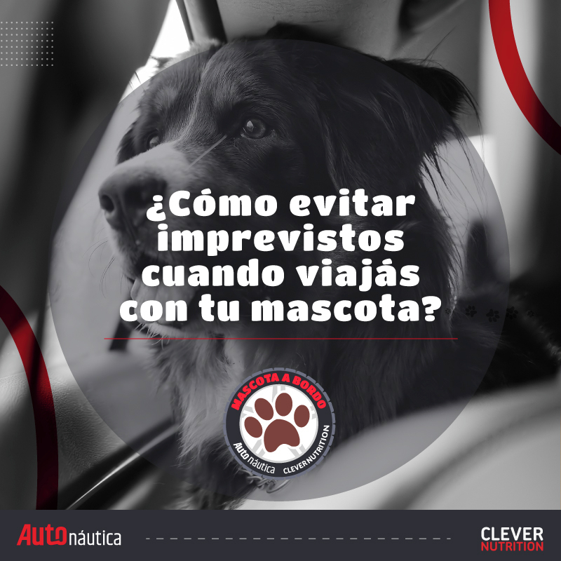 AutoNauticaSur's tweet photo. https://t.co/XYAtbAelwh