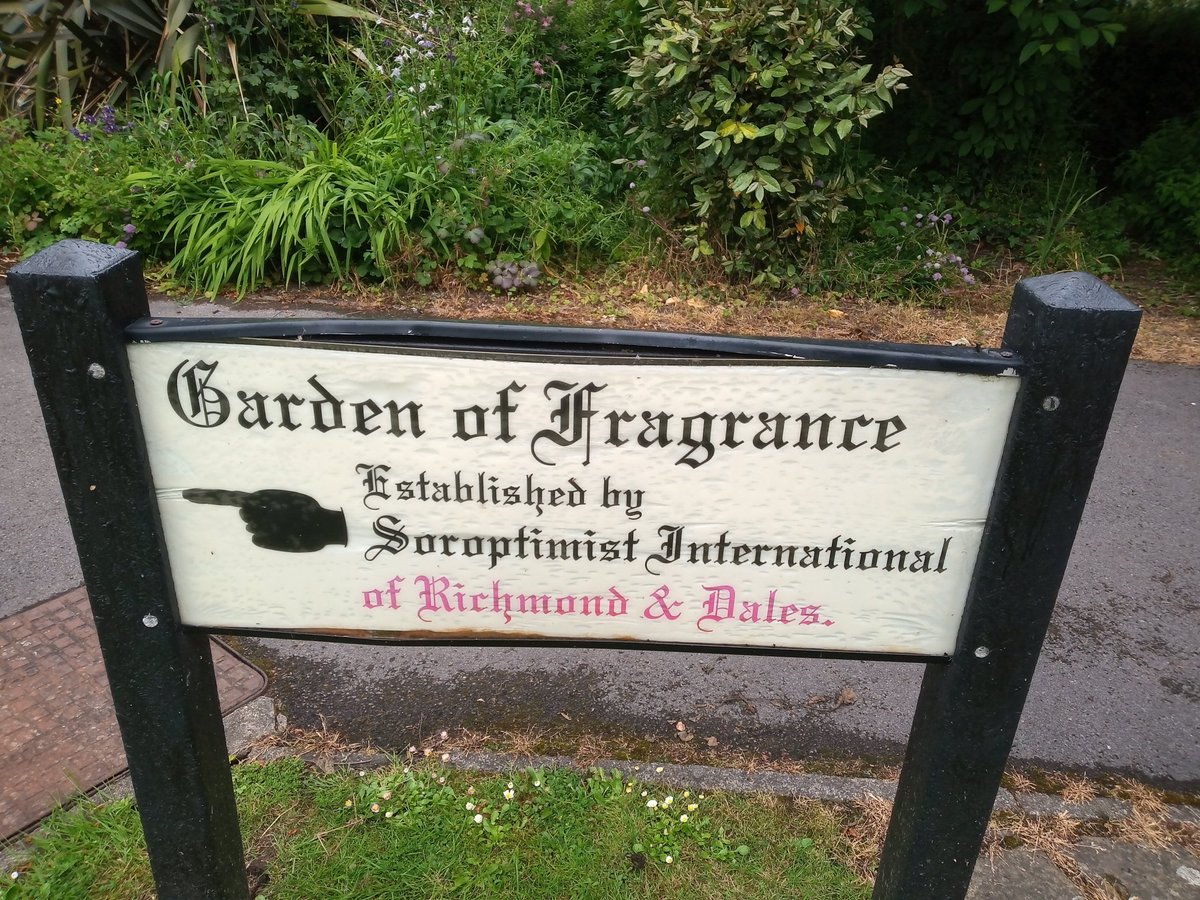 Kevin Waite tweet media