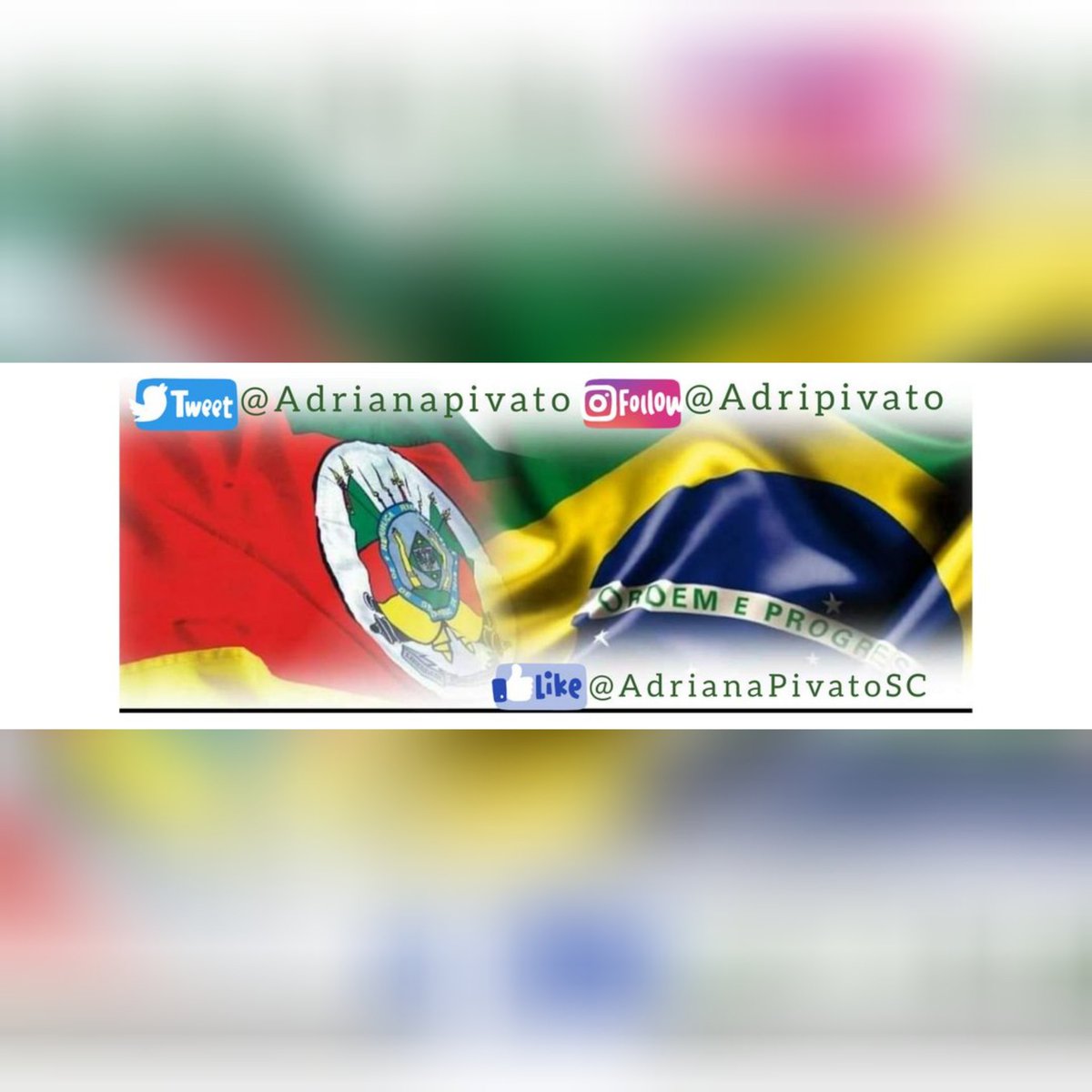 Adriana Pivato tweet media
