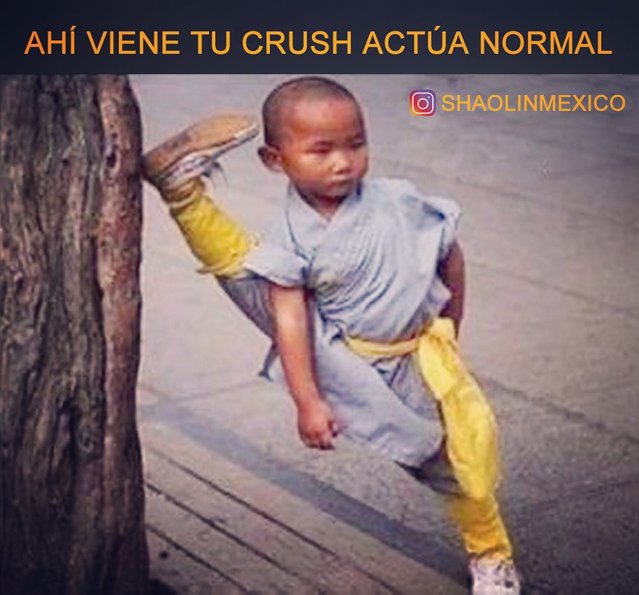 ShaolinMexico's tweet image. Actitud SHAOLIN 👊🐉                                         #shaolin #shaolinkungfu #shaolinmonk  #shaolinmonks  #shaolinmexico #shaolinstyle #shaolintemple  #shaolintraining  #kungfu #kungfumexico