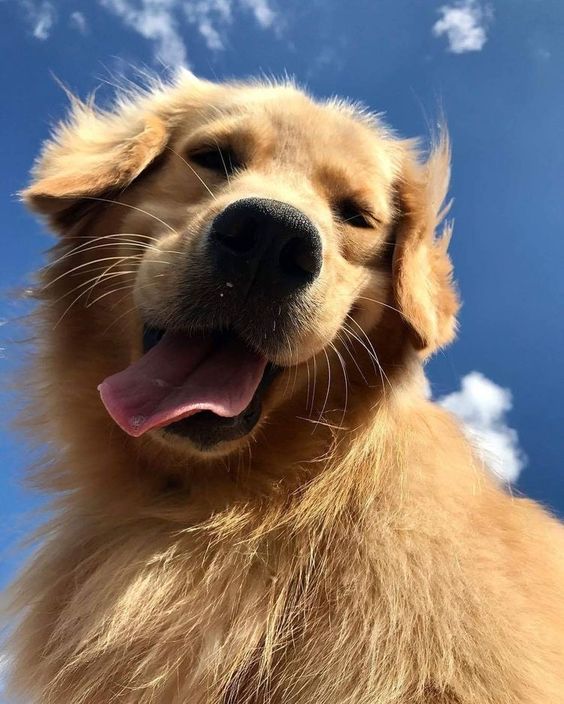 BichinhosFB's tweet photo. POV: Você acabou de acordar no paraíso https://t.co/bLMMso9d0T