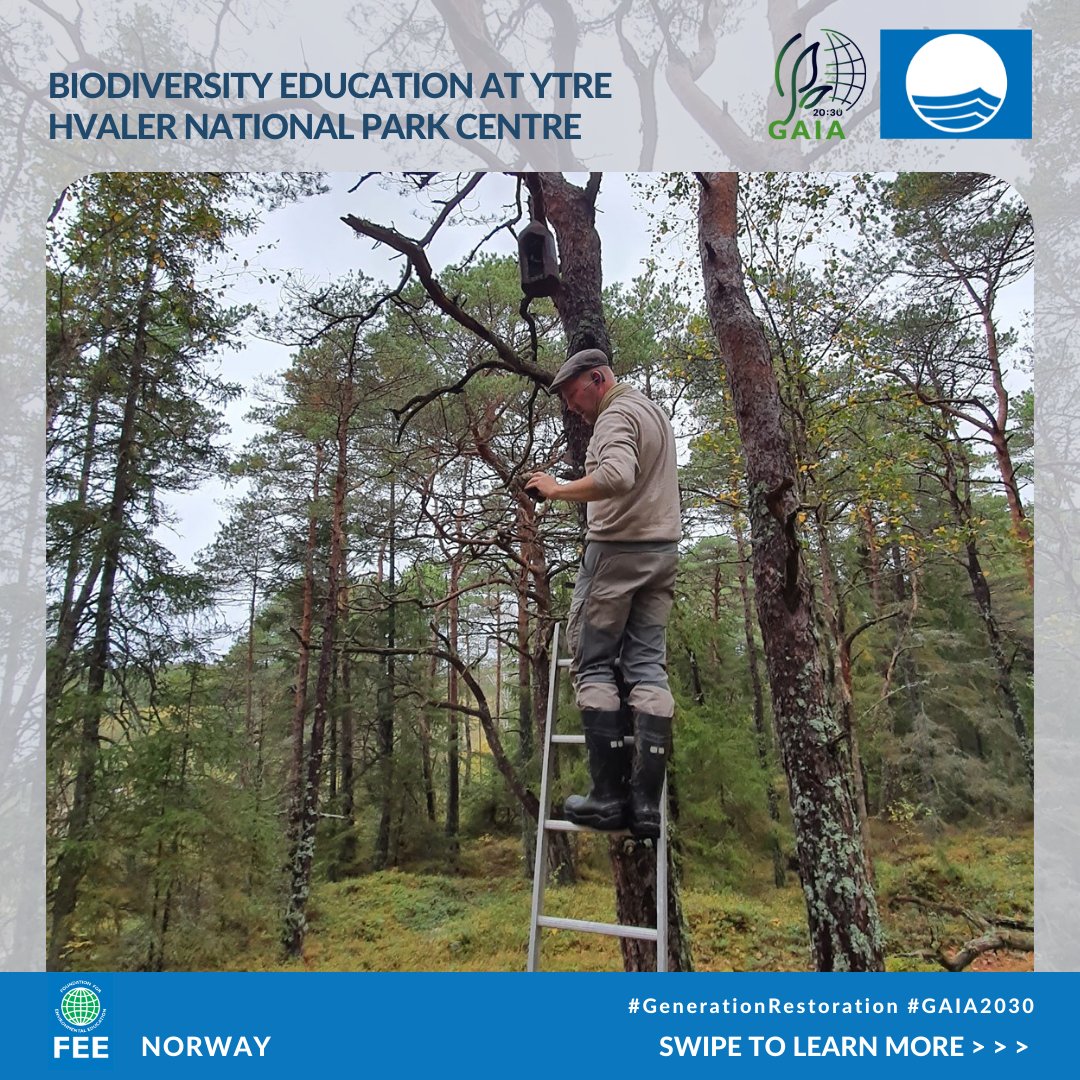 Blue Flag tweet media