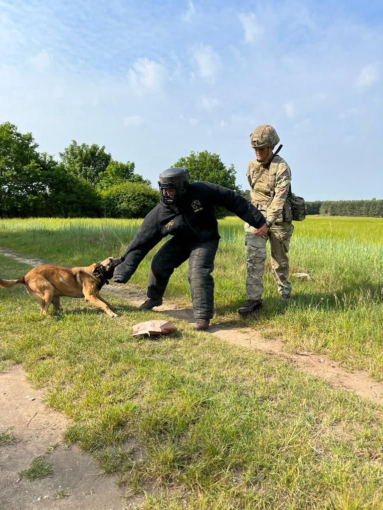 Official_DATR's tweet photo. End of Week 6 of 7: Pte Brown has completed week 6 of RAVC Initial Trade Training (ITT).
Pte Brown is currently deployed on the final testing phase: Ex Chiron Challenge. The final week is almost in sight.
#DATR #RAVC #InitialTraining #MWD #BritishArmy #DogHandler #Recruitment https://t.co/wFAy59i21z