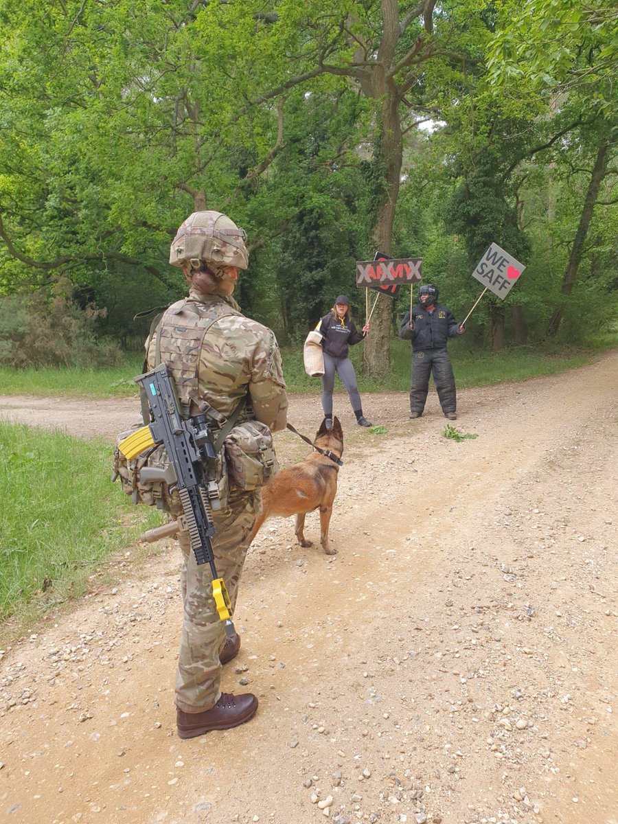Official_DATR's tweet photo. End of Week 6 of 7: Pte Brown has completed week 6 of RAVC Initial Trade Training (ITT).
Pte Brown is currently deployed on the final testing phase: Ex Chiron Challenge. The final week is almost in sight.
#DATR #RAVC #InitialTraining #MWD #BritishArmy #DogHandler #Recruitment https://t.co/wFAy59i21z