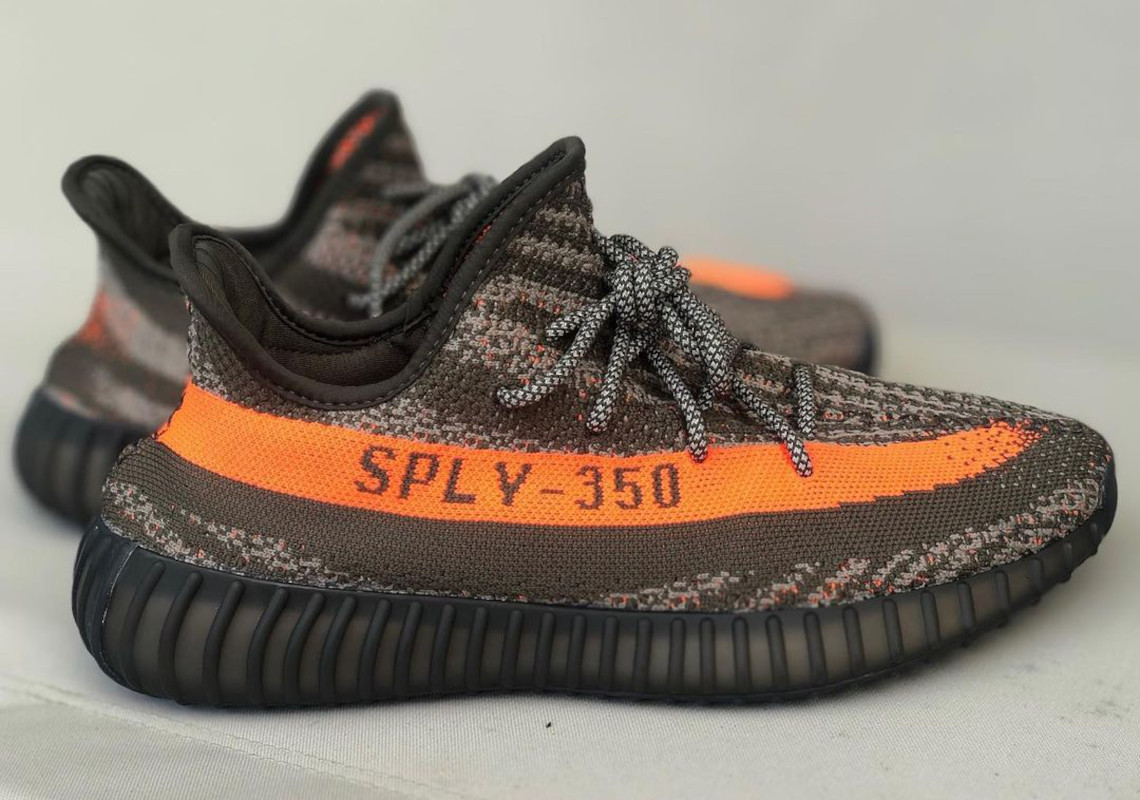 beluga 350s