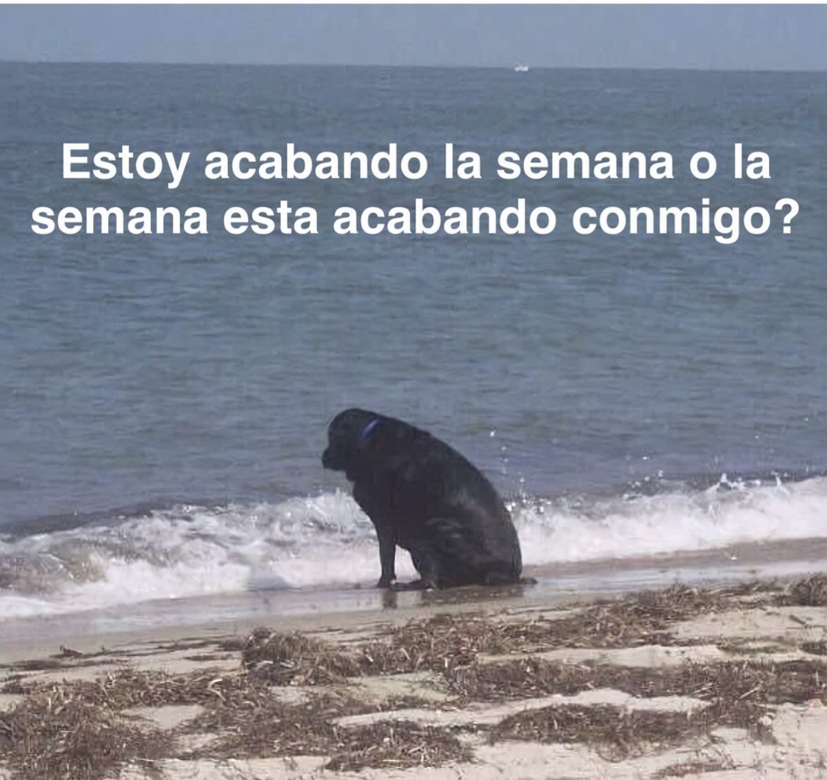 Guarromantico_'s tweet image. 