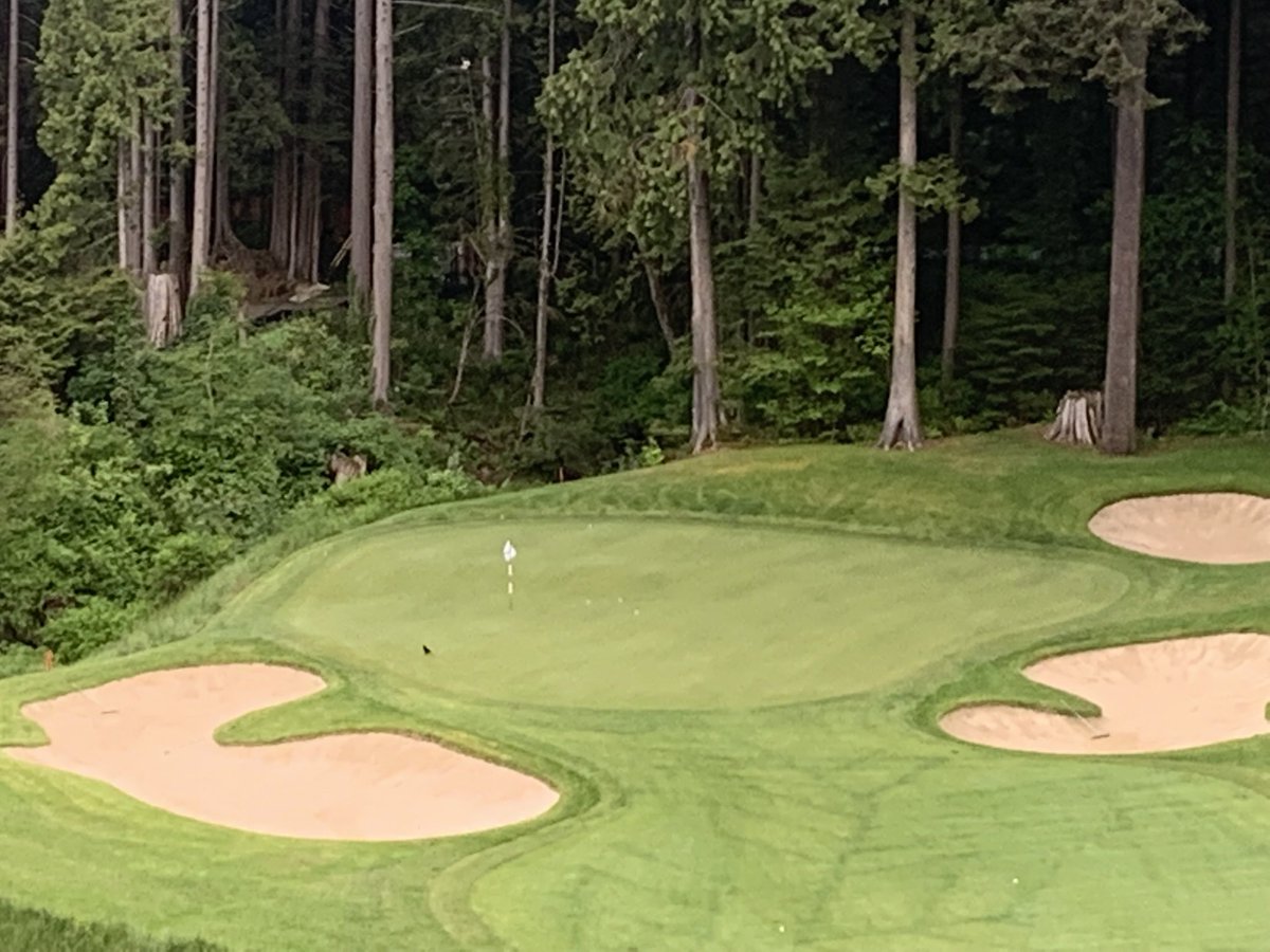 Stu Sheridan tweet media