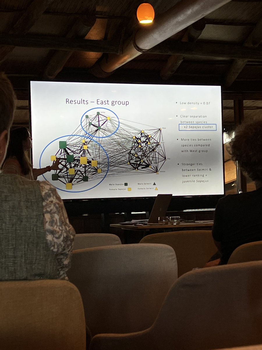 Great talk on social network analysis in mixed capuchin and squirrel monkey groups by @sophiadaoudi @EFP_GfP2022  #EFP_GfP2022