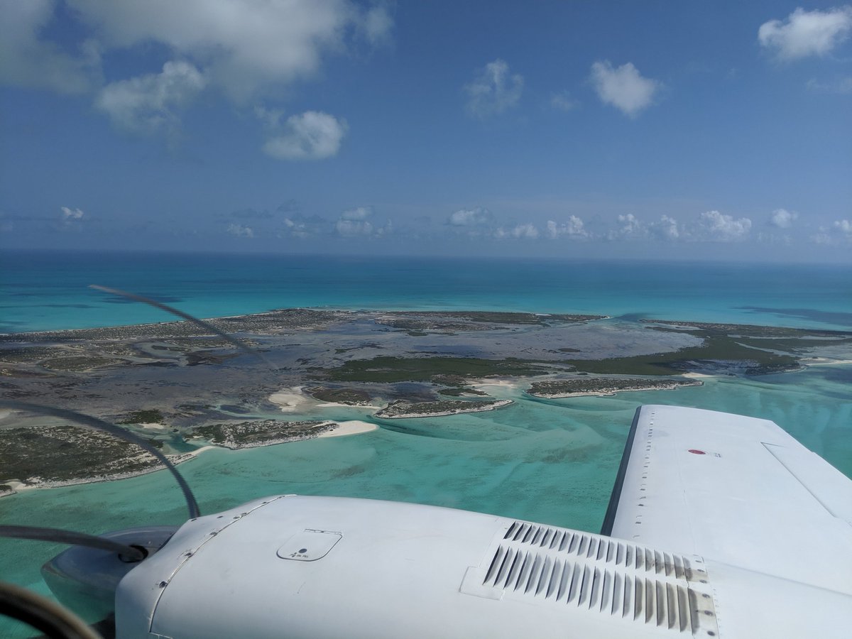 Dr. Lizzy Trower (@lizzy_t) on Twitter photo Only a week out from returning to an incredible field site in the Turks and Caicos with <a href="/LowSulfate/">Maya Gomes</a> and others! So excited to see all our human, reptile, and microbe friends and do exciting science supported by <a href="/NSF/">U.S. National Science Foundation</a>, <a href="/AmerChemSociety/">American Chemical Society</a>, and the Agouron Institute! Only a week out from returning to an incredible field site in the Turks and Caicos with <a href="/LowSulfate/">Maya Gomes</a> and others! So excited to see all our human, reptile, and microbe friends and do exciting science supported by <a href="/NSF/">U.S. National Science Foundation</a>, <a href="/AmerChemSociety/">American Chemical Society</a>, and the Agouron Institute!