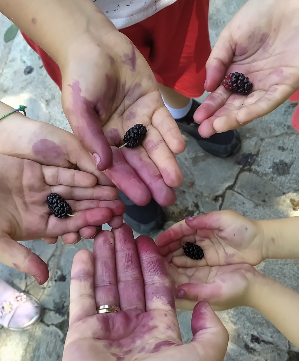 "Biz, Allah’ın boyasıyla boyanmışızdır. Boyası Allah’ınkinden daha güzel olan kimdir" 🥰
Bakara Suresi -138