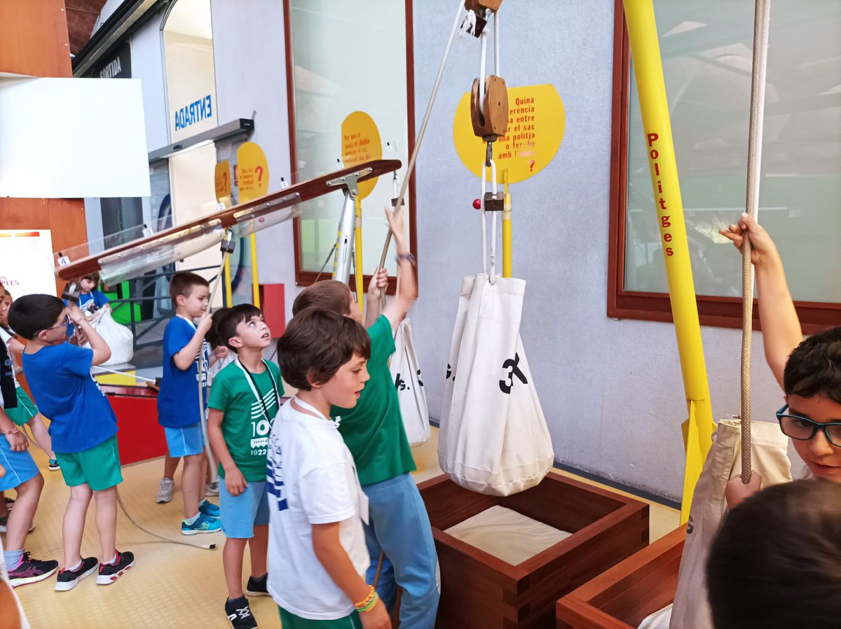 Escola del Mar tweet media