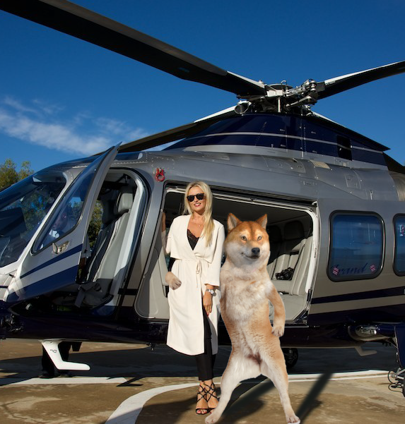 AnthonyMoneydog's tweet photo. GM / GN, guys🌍

It was busy and hard week🔥 
But the weekend is ahead and I am happy as I will spend them with my girlfriend at my country house in the mountains🌄

I promise I will share photos with you!

Also, another 200 BUSD GIVEAWAY has launched!!!
https://t.co/r8nUJEDSBJ https://t.co/RsOT9teYT3
