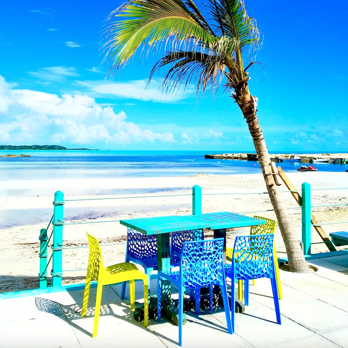 KnuytSandra's tweet photo. Table for 6?🌴🥥
#sandraknuyt #beachvibes #turksandcaicos https://t.co/Bh6f0agjHv