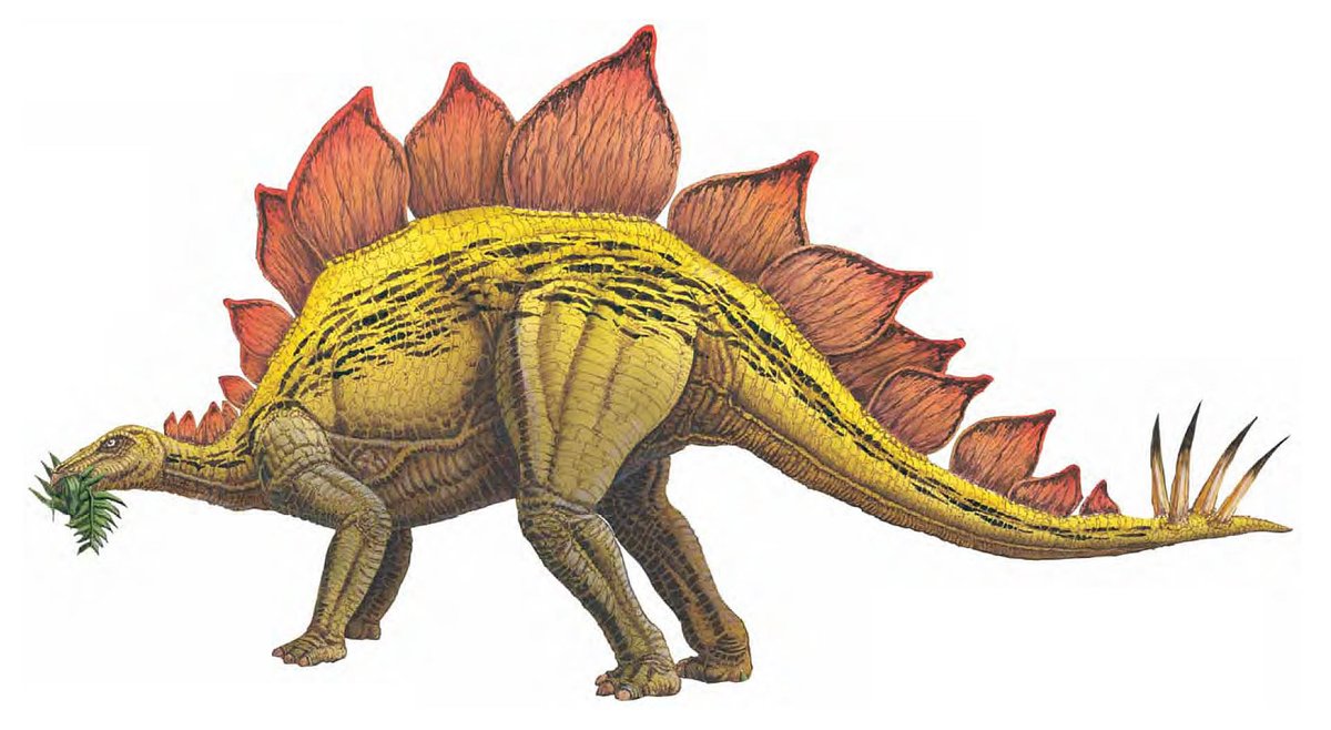 Shout-out to the Stegosaurus: A real-life, vegan Godzilla

Pic for reference