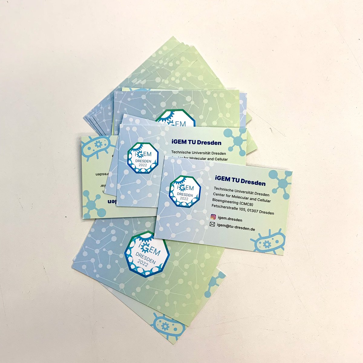 igem_dresden's tweet photo. Just received our business cards 😎 now it will be much easier to introduce people to iGEM, our team and project 🤩💫 https://t.co/SlkagzmFhh