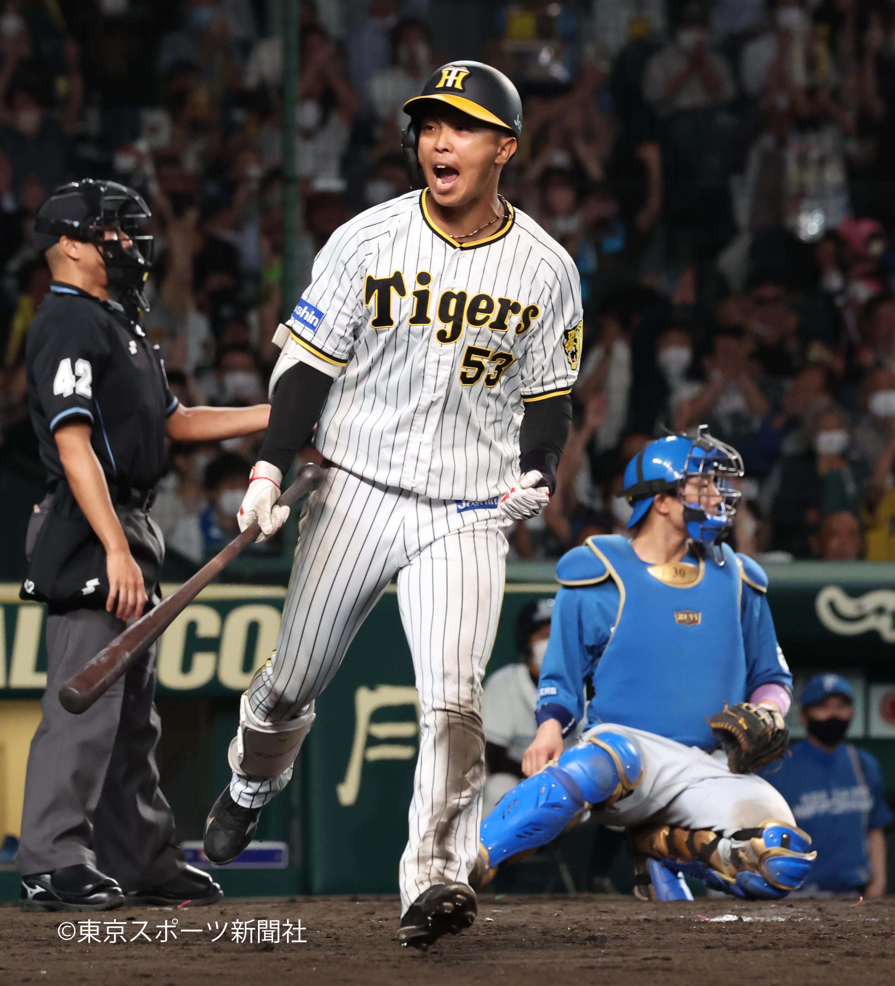 マックス 大山悠輔 2022年交流戦 本塁打王＆打点王記念フォトファイル マックス 大山悠輔 2022年交流戦 本塁打王＆打点王記念フォト