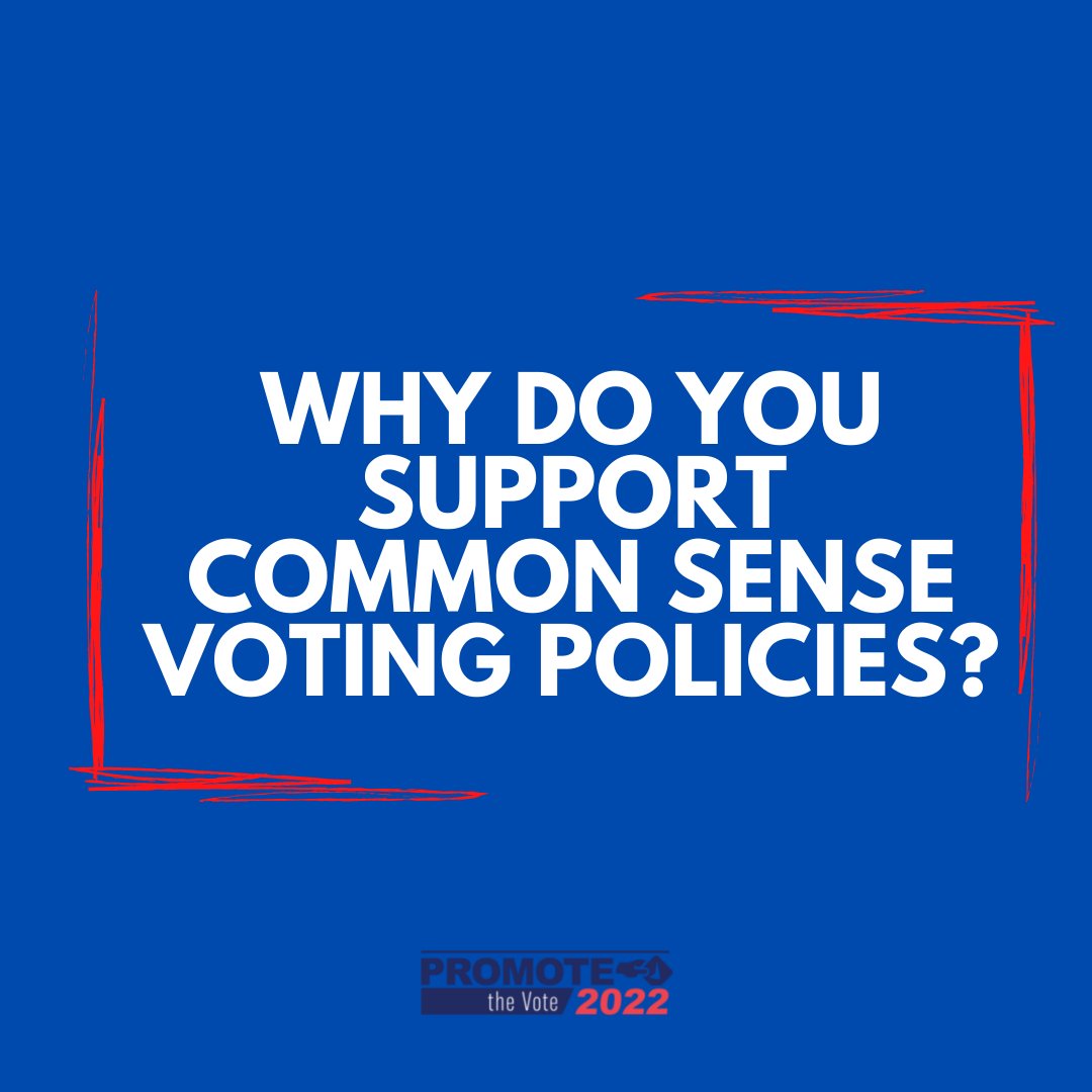 PromoteTheVote2022 tweet media