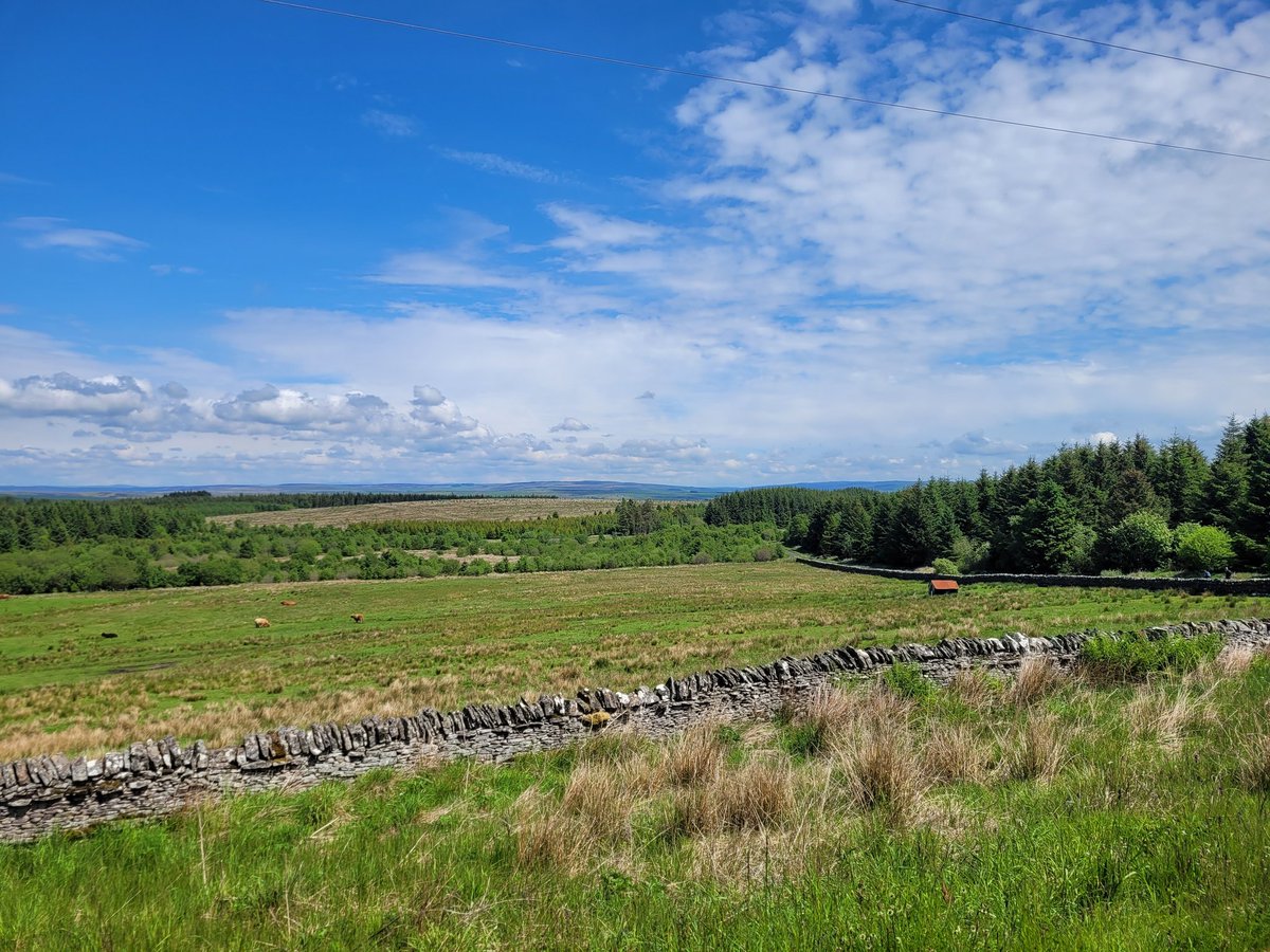 Jamie_LEJOG's tweet image. Day 60: Housesteads to Bellingham, 14 miles. Moving North of Hadrian's Wall and into Northumberland National Park. Another nice day of walking with one tricky section where fallen trees had blocked the path.