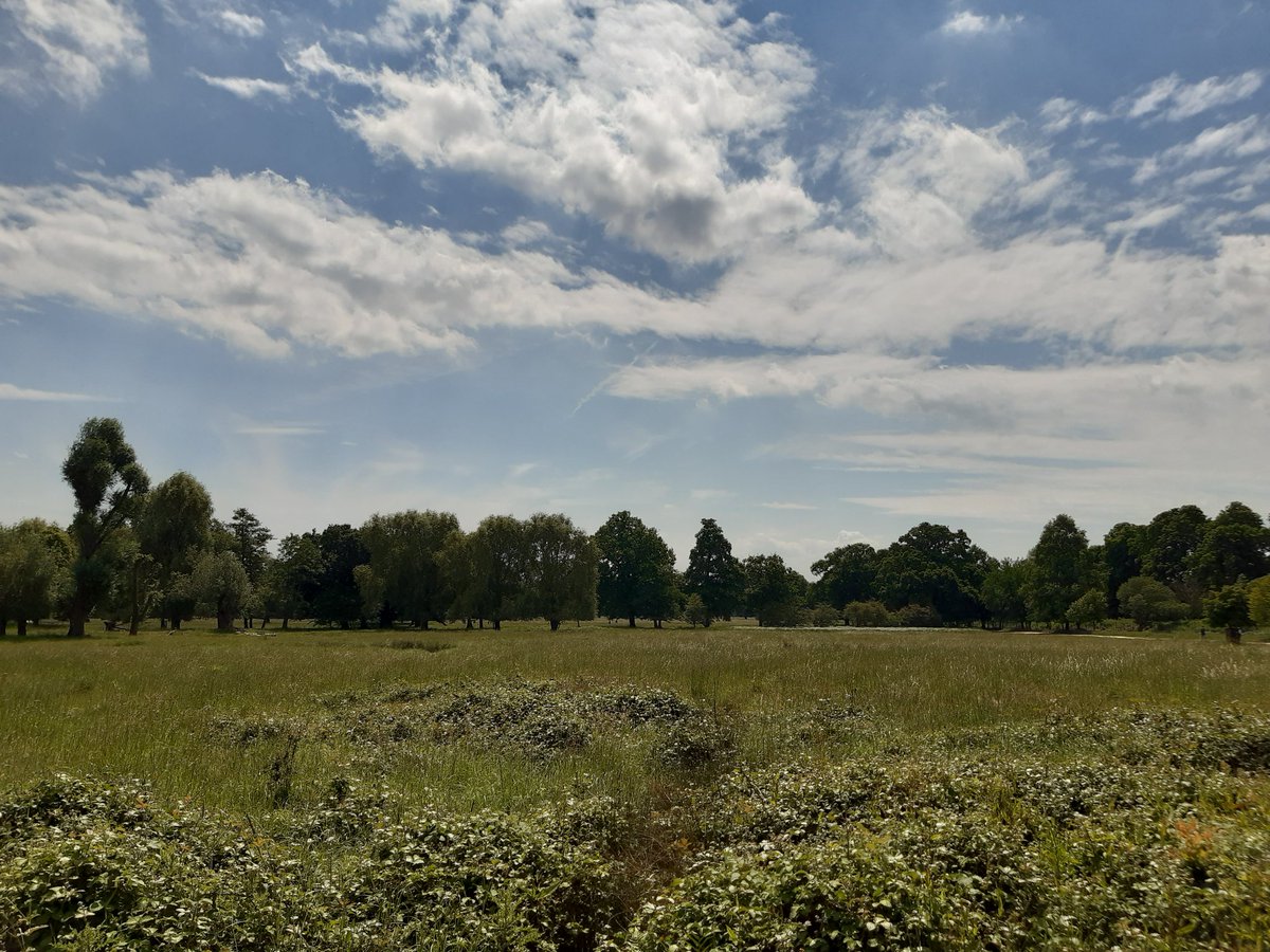 Wonderful #JubileeBankHoliday walk and picnic in #BushyPark!  Love visiting my home town! 🥰

#BankHoliday #Hampton #RoyalParks 
<a href="/theroyalparks/">The Royal Parks</a> <a href="/LBRUT/">Richmond Council</a>