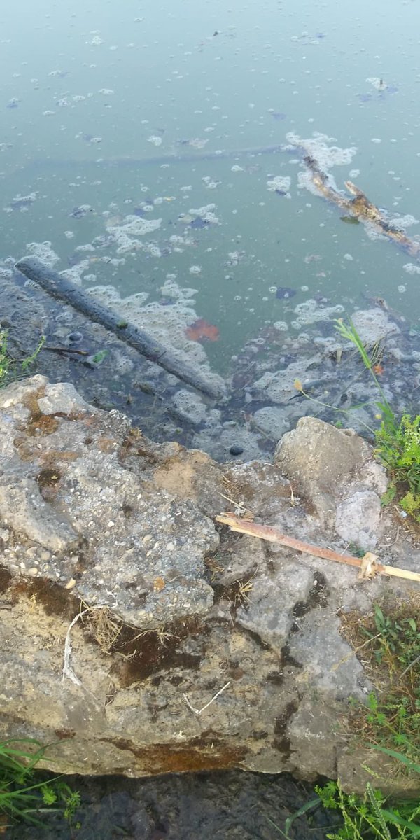 infoLeprotti's tweet photo. SOS ...il laghetto esonda! @gualtierieurope @corriereroma @PoveraR @ilmessaggeroit @Sabrinalfonsi @roma24 https://t.co/k0wZCUjuUE