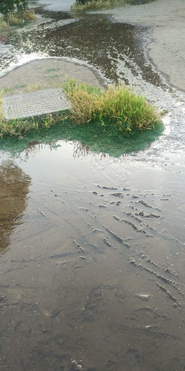 infoLeprotti's tweet photo. SOS ...il laghetto esonda! @gualtierieurope @corriereroma @PoveraR @ilmessaggeroit @Sabrinalfonsi @roma24 https://t.co/k0wZCUjuUE