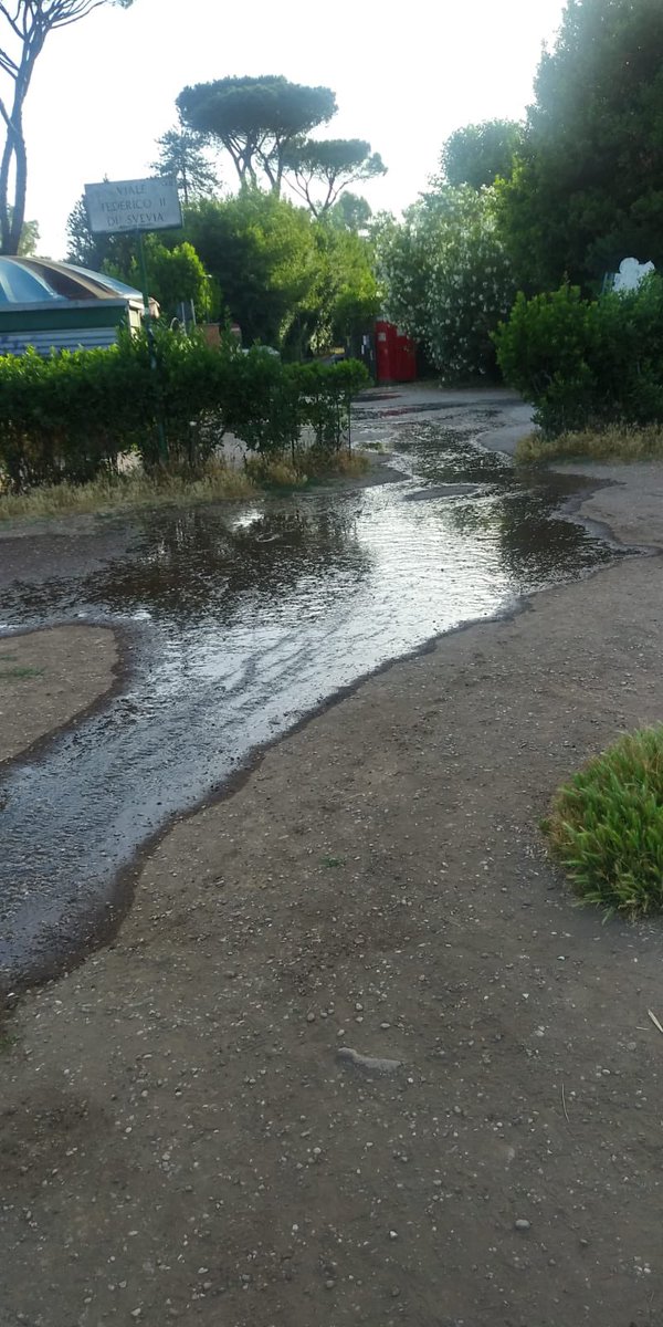 infoLeprotti's tweet photo. SOS ...il laghetto esonda! @gualtierieurope @corriereroma @PoveraR @ilmessaggeroit @Sabrinalfonsi @roma24 https://t.co/k0wZCUjuUE