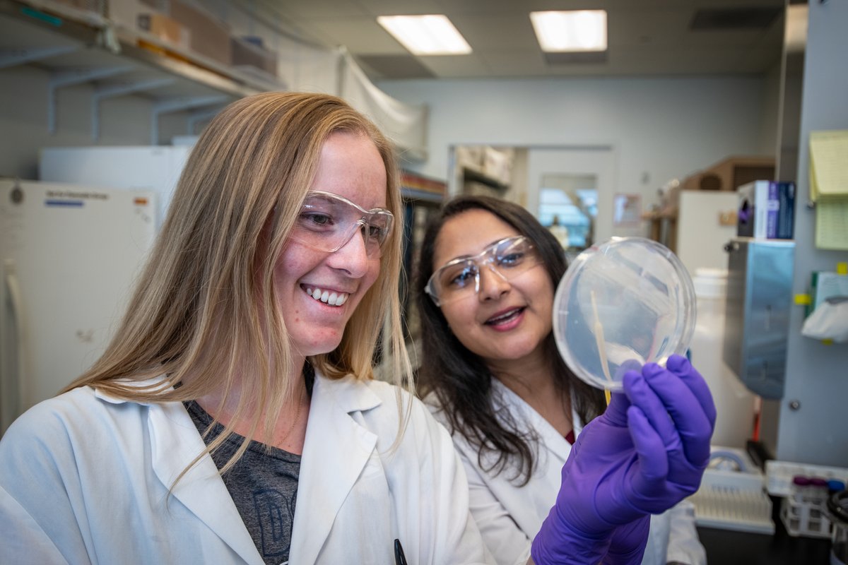 BerkeleyLab's tweet photo. Microbiologist Deepika Awasthi is bioengineering a 🦠 microbe to eat #methane and produce a valuable chemical. Read about this #NegativeEmissionsTechnology and our #CarbonNegative initiative. @LBNLBioSci #WomenInStem
⬇️
https://t.co/5t8KaKr8H2 https://t.co/hgrKlUPI2N