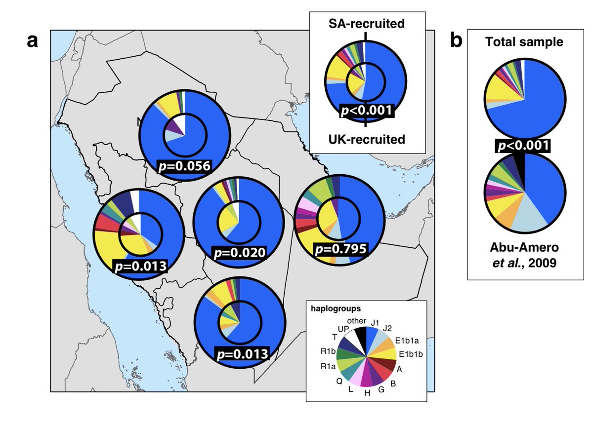 mialmohanna's tweet image. Extensive geographical and social structure in the paternal lineages of Saudi Arabia revealed by analysis of 27 Y-STRs
دراسة الدكتور يحيى خبراني (المبتعث من وزارة الداخلية لدراسة الجينات)

حددت أن نسبة ٧١٪ من السعوديين على السلالة j1 وتطرق أيضاً الى وجود ٤١٪ من العرب المهاجرين ..