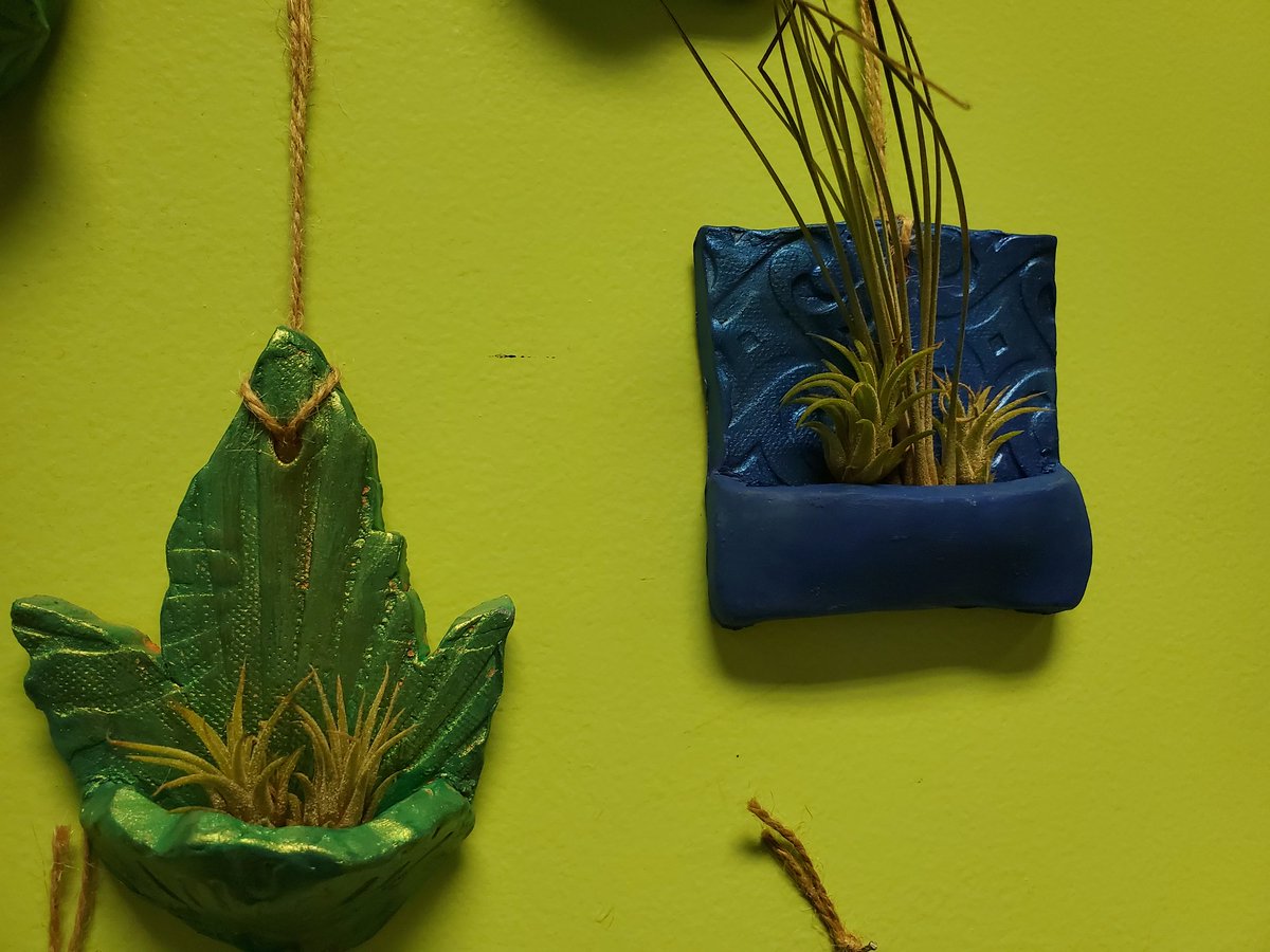 Look at the amazing new #artinstallation in the media center. This was collaboration between <a href="/sarahpjustice/">Sarah Justice 📚❤️</a>, <a href="/mcneelyagteach/">Heather McNeely</a>, and <a href="/RHS_Art/">Amy Schoenacher</a>. Beauty + art + nature
<a href="/TransylvaniaSch/">Transylvania County Schools</a> <a href="/CTEforNC/">NC Career and Technical Education</a>