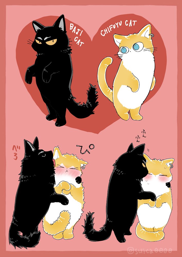 「これはしゅっとした猫(ばじふゆ 」|水曜日のイラスト