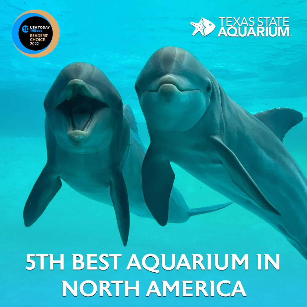 Texas State Aquarium on Twitter "The results are in, and your 