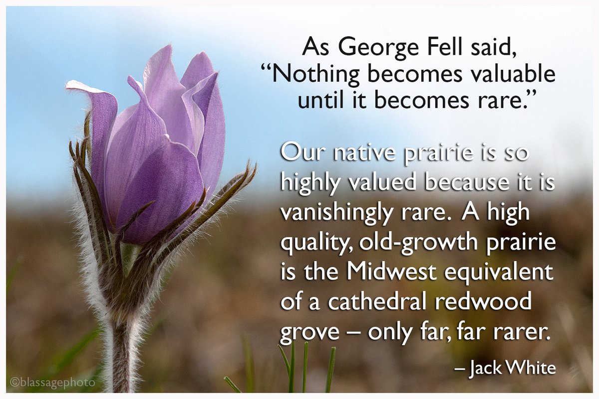 Mark Blassage tweet media