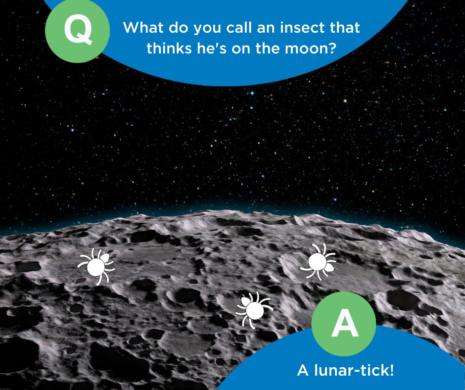PestDefense's tweet photo. #FridayBugFun https://t.co/ZH80VRGe2U