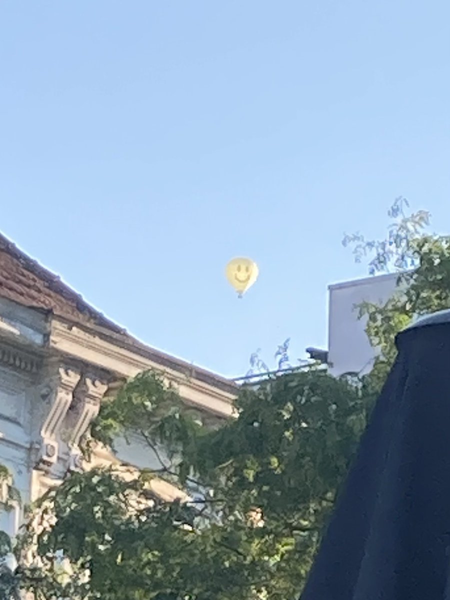 Dr. Marissa Laws 🧠🌻🌸🌞 tweet media