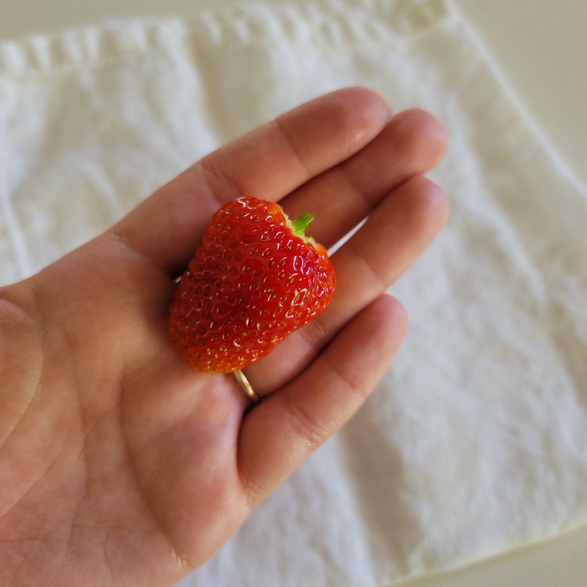 First strawberry from the garden! Not too bad!🍓