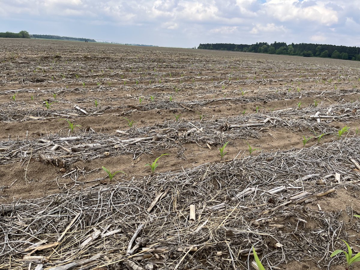 Frontline Genetics tweet media