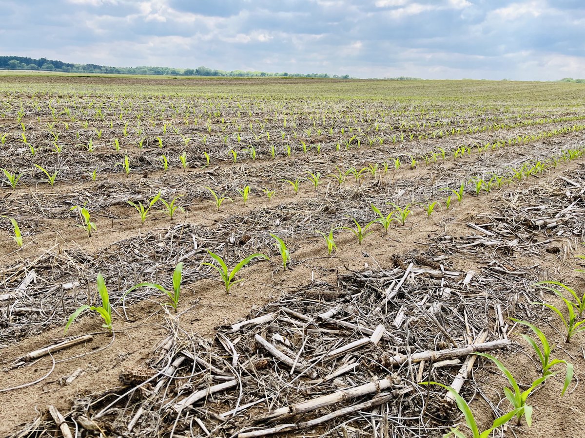 Frontline Genetics tweet media