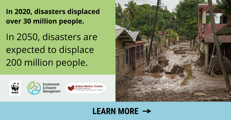 EnviroDM's tweet photo. Emergency shelter helps people recover after disasters.

For a resilient recovery, it’s critical to build shelter in a sustainable way.

Proactively addressing environmental issues helps avoid deforestation, desertification, &amp; soil erosion.

#WorldEnvironmentDay @ShelterCluster