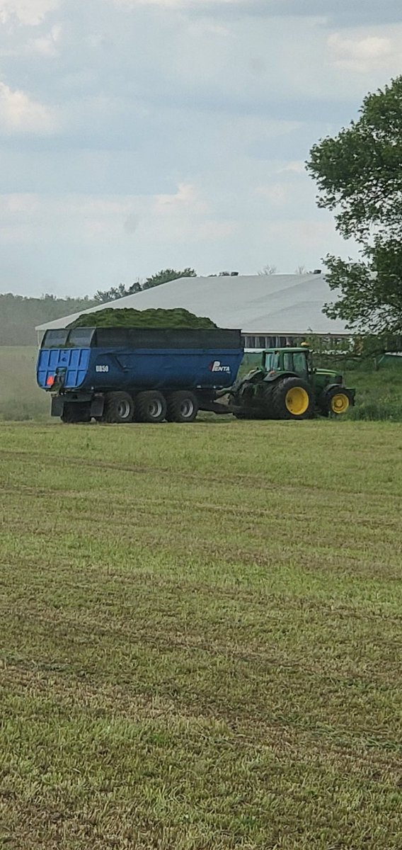 An other delicious load of feed going in storage to be used to magically make milk for the Grand Valley store and its customers like Shon!!!
👍👍🤣🤣🙋🏼‍♂️