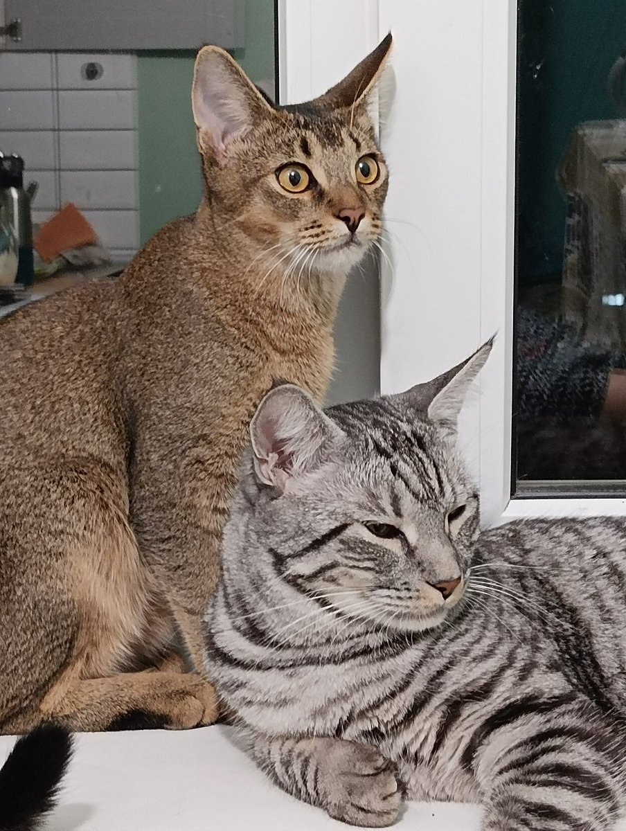 Наталья tweet media