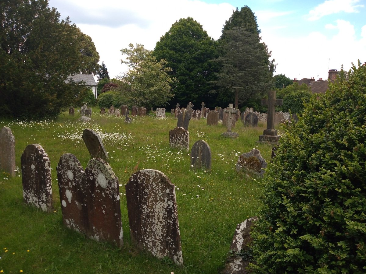 Quick visit to @Warnham_St_M church yesterday to admire the 'no mow' area in the northern part of the churchyard.  Lots of wildflowers and buzzing with insects! Great to see.