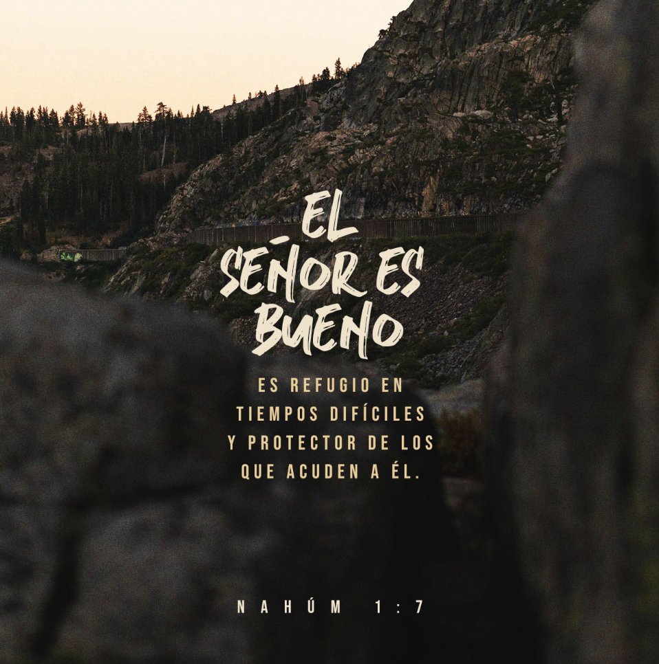 eframe77's tweet photo. Nahúm 1:7: Jehová es bueno, fortaleza en el día de la angustia; y conoce a los que en él confían. https://t.co/mURWxBik8w 
@iglesialldm 
#ElAmorNosUne
#SigoaCristo
#SiempreUnidos https://t.co/HuV3IYrev6