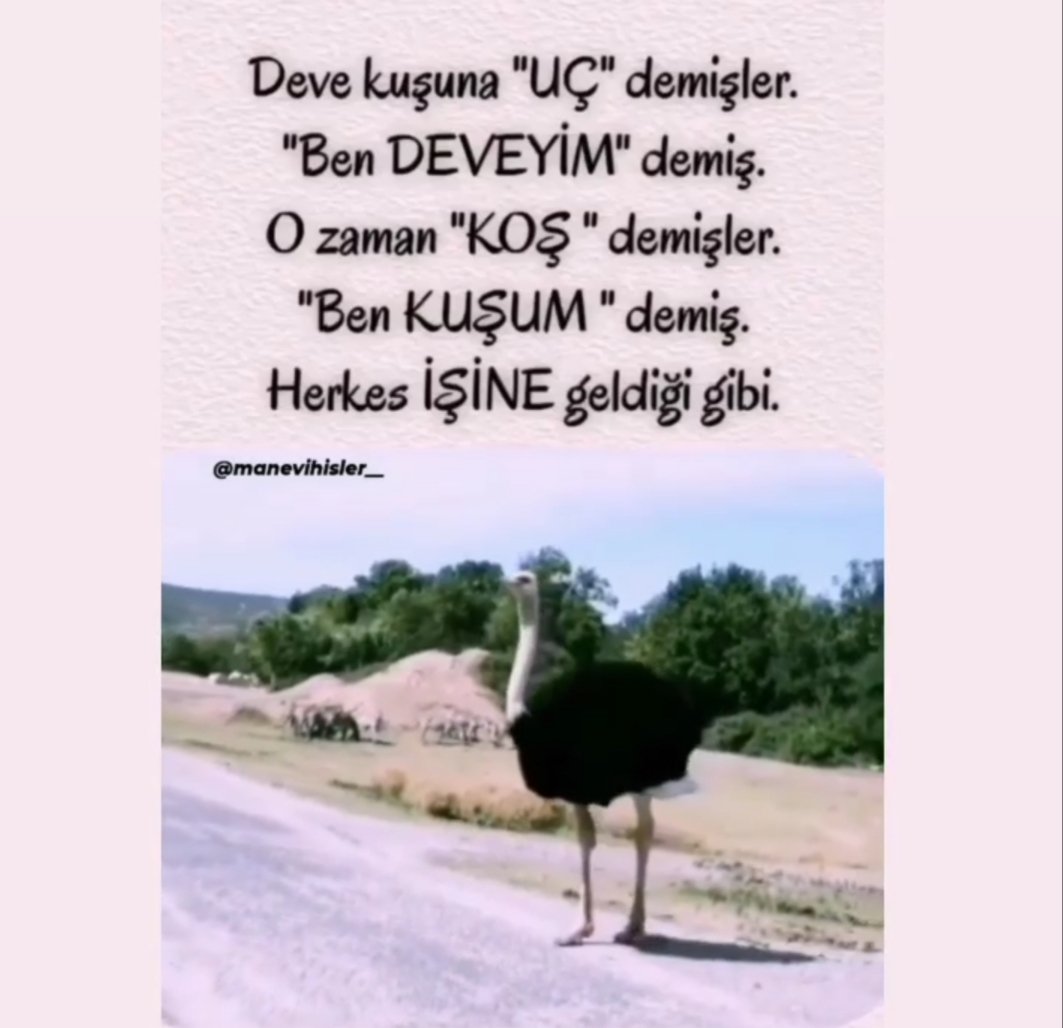 Selim Ankaralıoğlu (@ankaralselim) on Twitter photo 