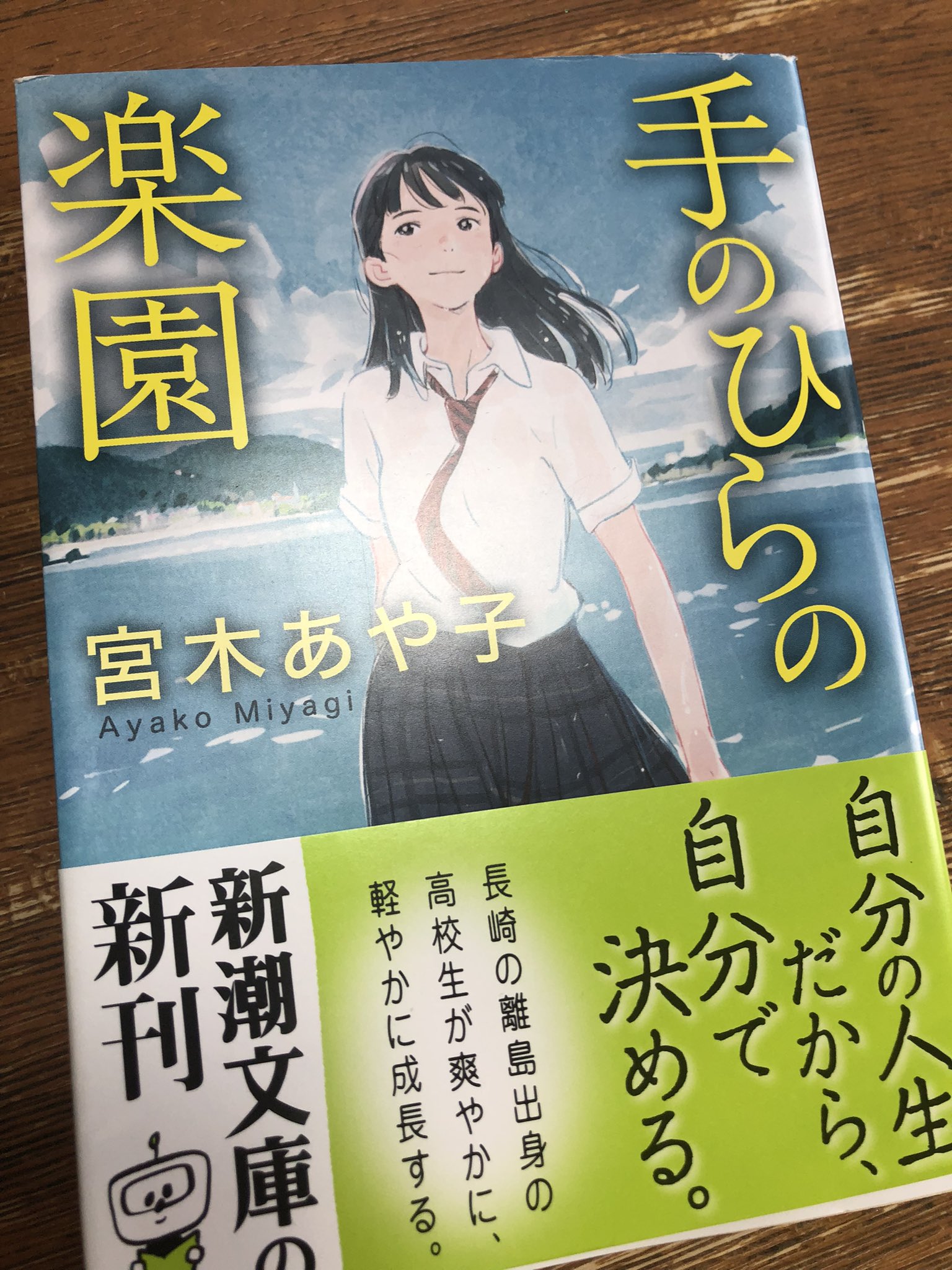 手のひらの楽園 Twitter Search Twitter