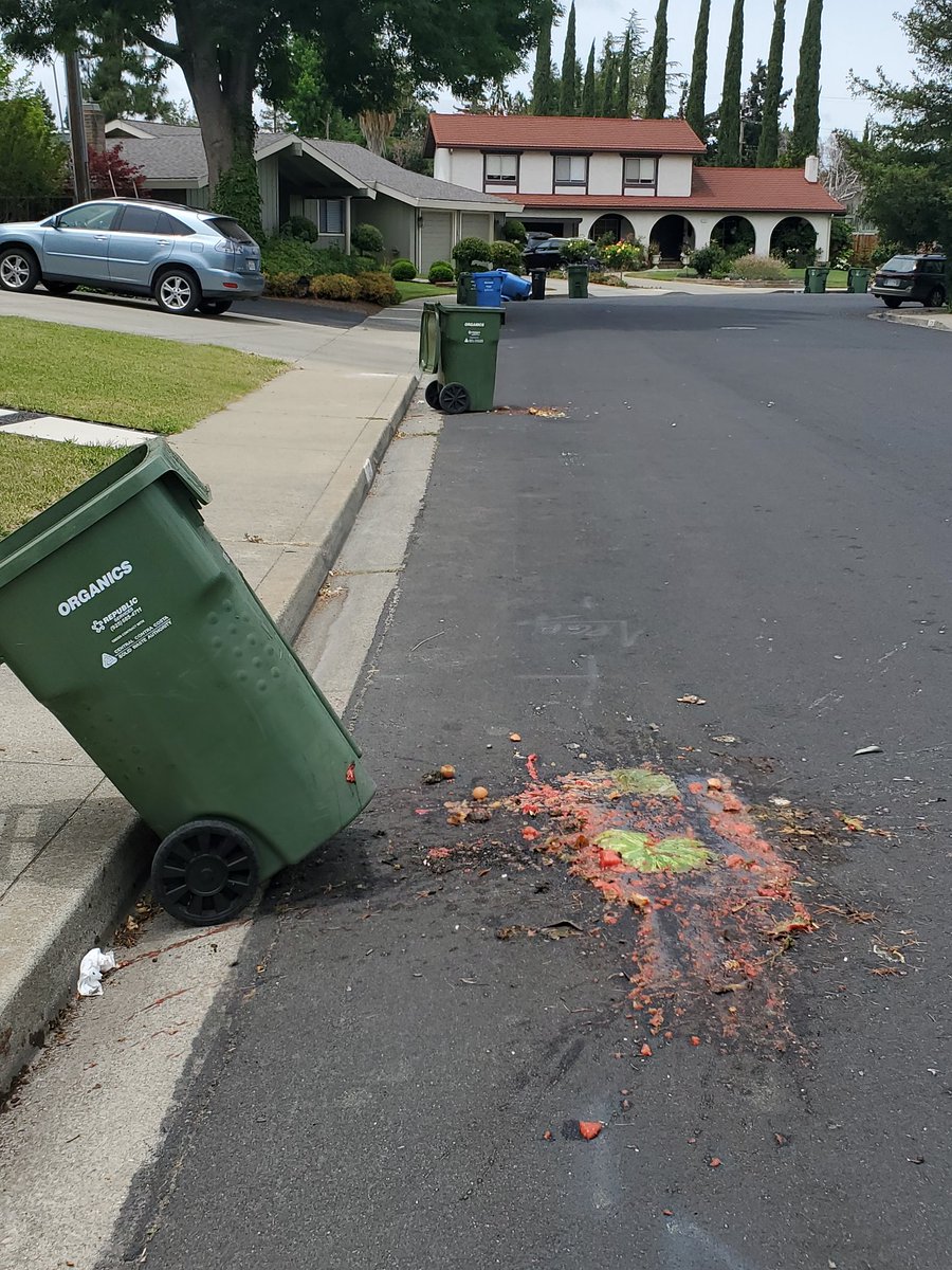 lob_row's tweet photo. Look at this mess that #RepublicServices left on our street. It's not the 1st time (or 2nd). Pick up the trash not spread it. #WalnutCreek #KevinWilk https://t.co/hHbHqGelBt