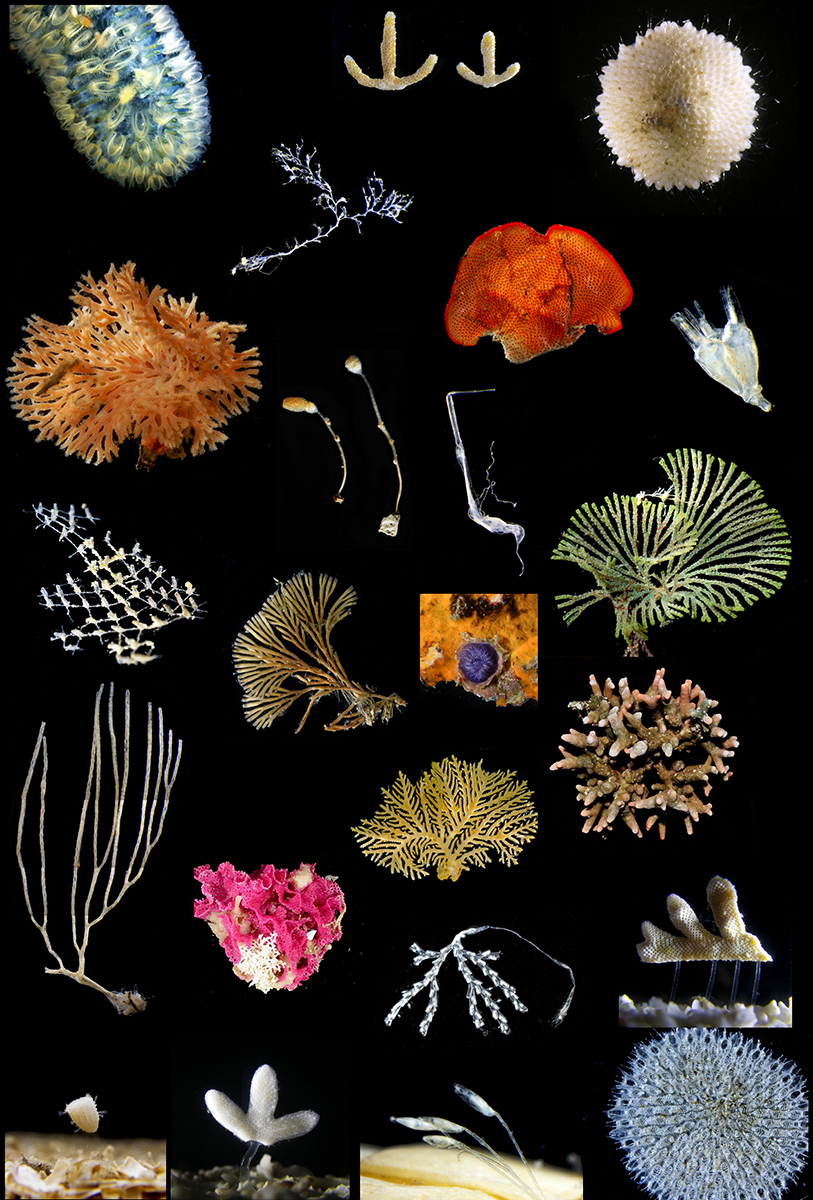 Masato Hirose tweet media