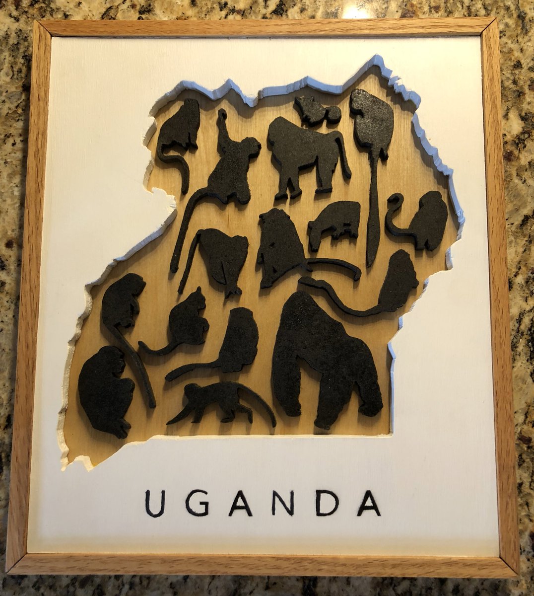 sammstead's tweet photo. Beautiful gift made by the talented @_GregMelvin!! Do you know all the Ugandan primates? 🐒🦍 https://t.co/wgB5RC4VgN