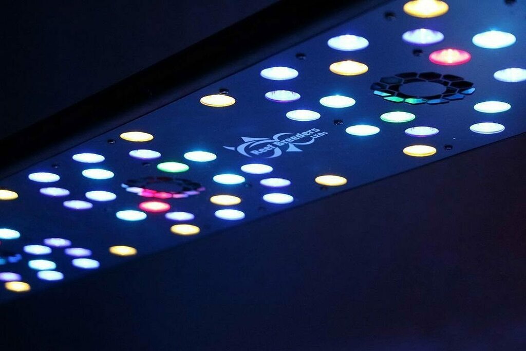ReefBreeders's tweet photo. Photon Friday!

Our Photons are available in 5 lengths; making them perfectly suited for tanks of all sizes. 

They are designed with a widely dispersed matrix of LEDs for exceptional PAR distribution, in other words, you get enough light to grow SPS end to end with no dead-… https://t.co/zO9rszNytI