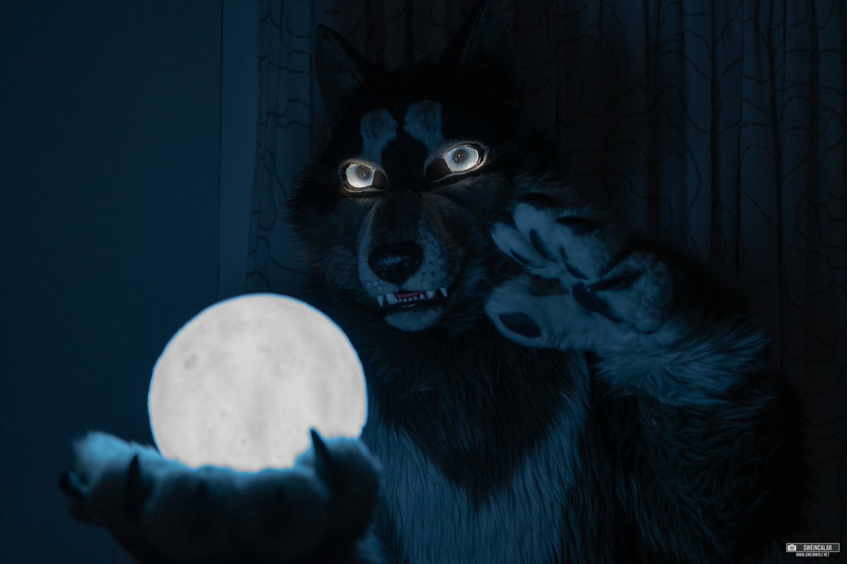 It’s almost midnight, but still #FursuitFriday!

📷 by <a href="/gweincalar/">Gwein</a>