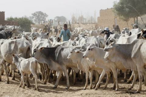 SaharaReporters's tweet photo. Herdsmen Strike In Abia, Abduct Pastor, Wife, Stab Cleric In The Chest | Sahara Reporters https://t.co/hLFQc2B5Fd https://t.co/1OztkXIhdN